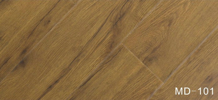 MD-101
